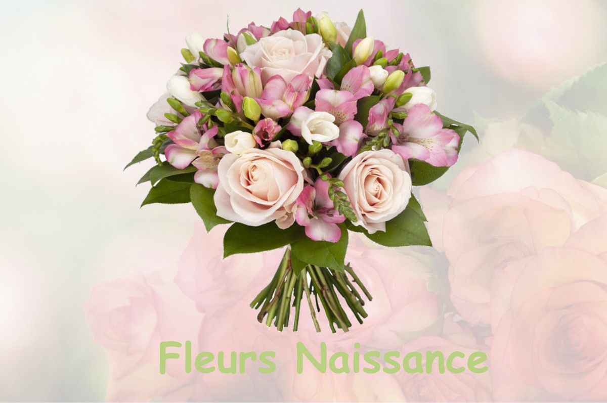 fleurs naissance WAVRANS-SUR-TERNOISE